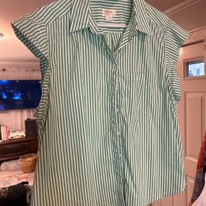 Maeve (Anthropologie) classic green and white button down.